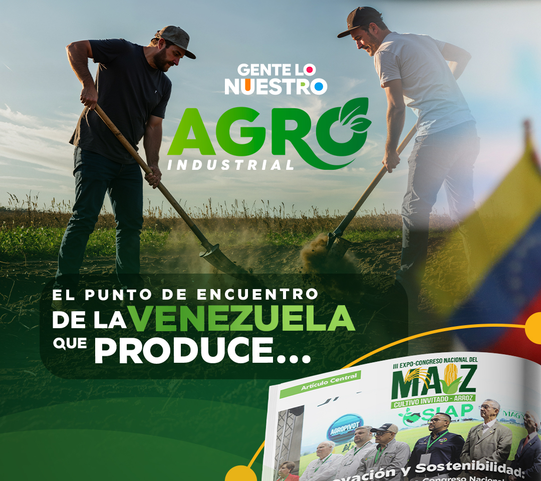 Identidad